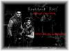 Resident Evil Banner 2
